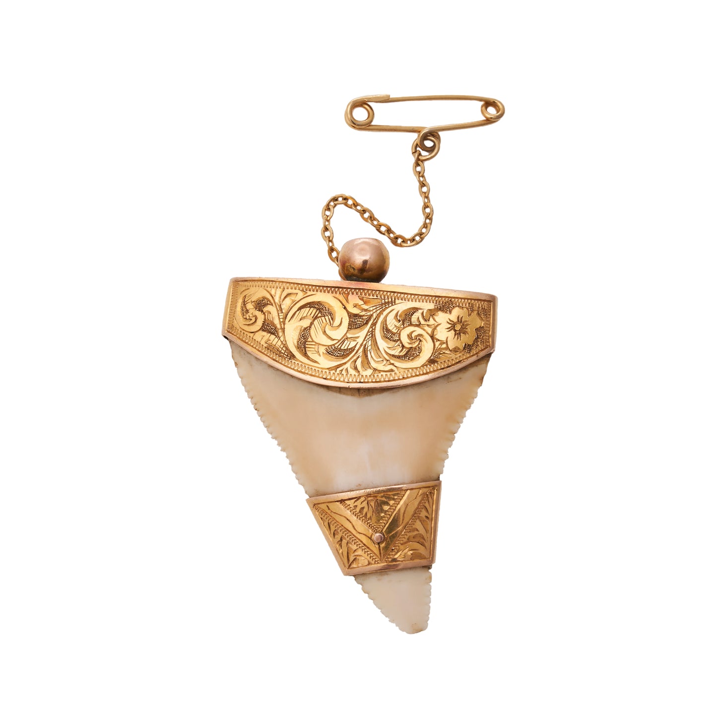 Colonial Great White Shark Tooth Brooch